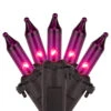 100-Count Purple Mini Incandescent Christmas Light Set, 20.25ft Black Wire -Optimal Christmas Shop uvswo4hwchw8tnmzunvhty8qpjo4yxwh 59735.1681407899
