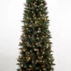 4.5' Pre-Lit Yorkville Pine Pencil Artificial Christmas Tree - Clear Lights 1 4.5' Pre-Lit Yorkville Pine Pencil Artificial Christmas Tree - Clear Lights -Optimal Christmas Shop v3gspdyolqgxyw7eakknixukgri3omds 36093.1667530752