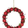 4.5" Red Crab Apple Autumn Harvest Christmas Wreath Ornament -Optimal Christmas Shop wkrbmoenp0mighlowrtnbkb1jxrpydes 77434.1668103755