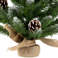 24" Frosted Norway Pine With Pine Cones Medium Artificial Christmas Tree, Unlit 10 24" Frosted Norway Pine With Pine Cones Medium Artificial Christmas Tree, Unlit -Optimal Christmas Shop wnss365hujdpa2wjvzmtionlzzxjpk1x 73351.1684955883