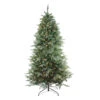 6.5' Pre-Lit Washington Frasier Fir Artificial Christmas Tree - Clear Lights -Optimal Christmas Shop xuwnvviq16uegr1j7pihkn29uf0txkjo 69514.1680198596