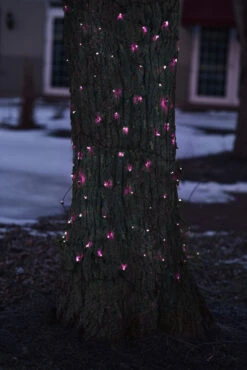 2' X 8' Pink Mini Net Style Tree Trunk Wrap Christmas Lights - Brown Wire 7 2' X 8' Pink Mini Net Style Tree Trunk Wrap Christmas Lights - Brown Wire -Optimal Christmas Shop ylcg4t850w68hibikaa1veiyudzfoiqw 85651.1684166427